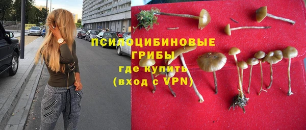 a pvp Алзамай