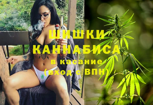 spice Алексин