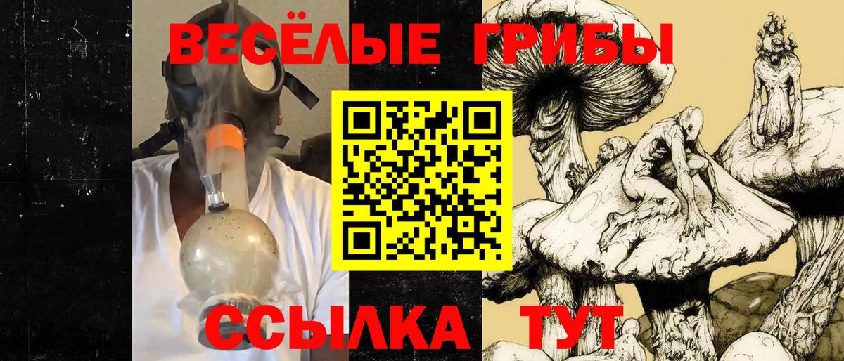 Галлюциногенные грибы Psilocybine cubensis  Вход с VPN  Биробиджан 