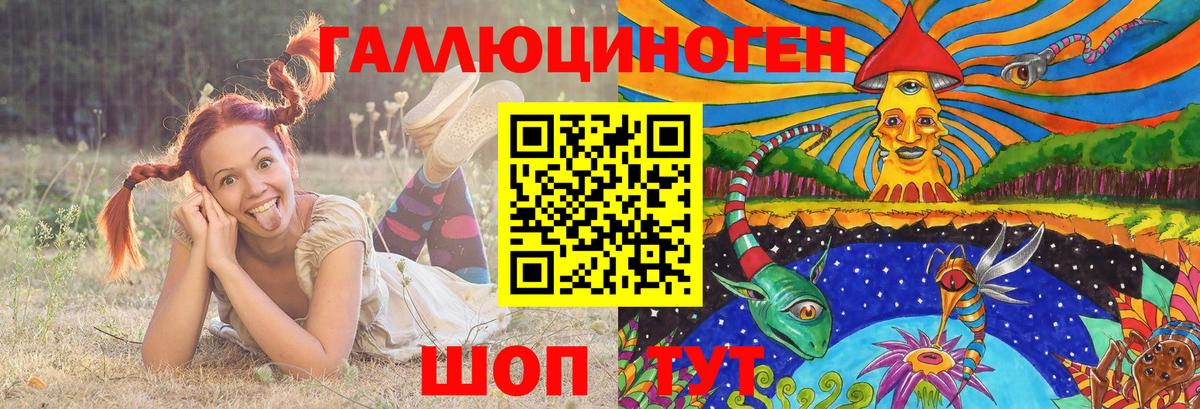 Псилоцибиновые грибы мухоморы Биробиджан